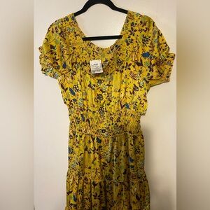 Knee length off the shoulder or cap sleeve spring dress.